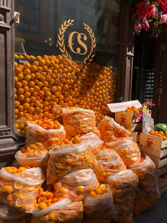 Možgani ljubijo dokaze